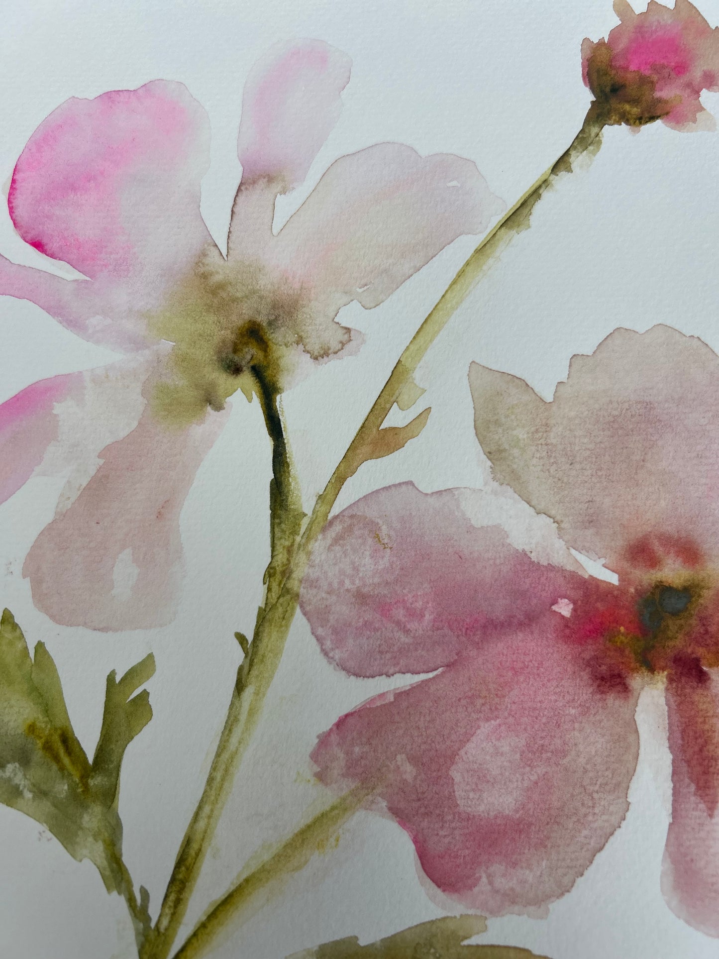 Floral Study XIII