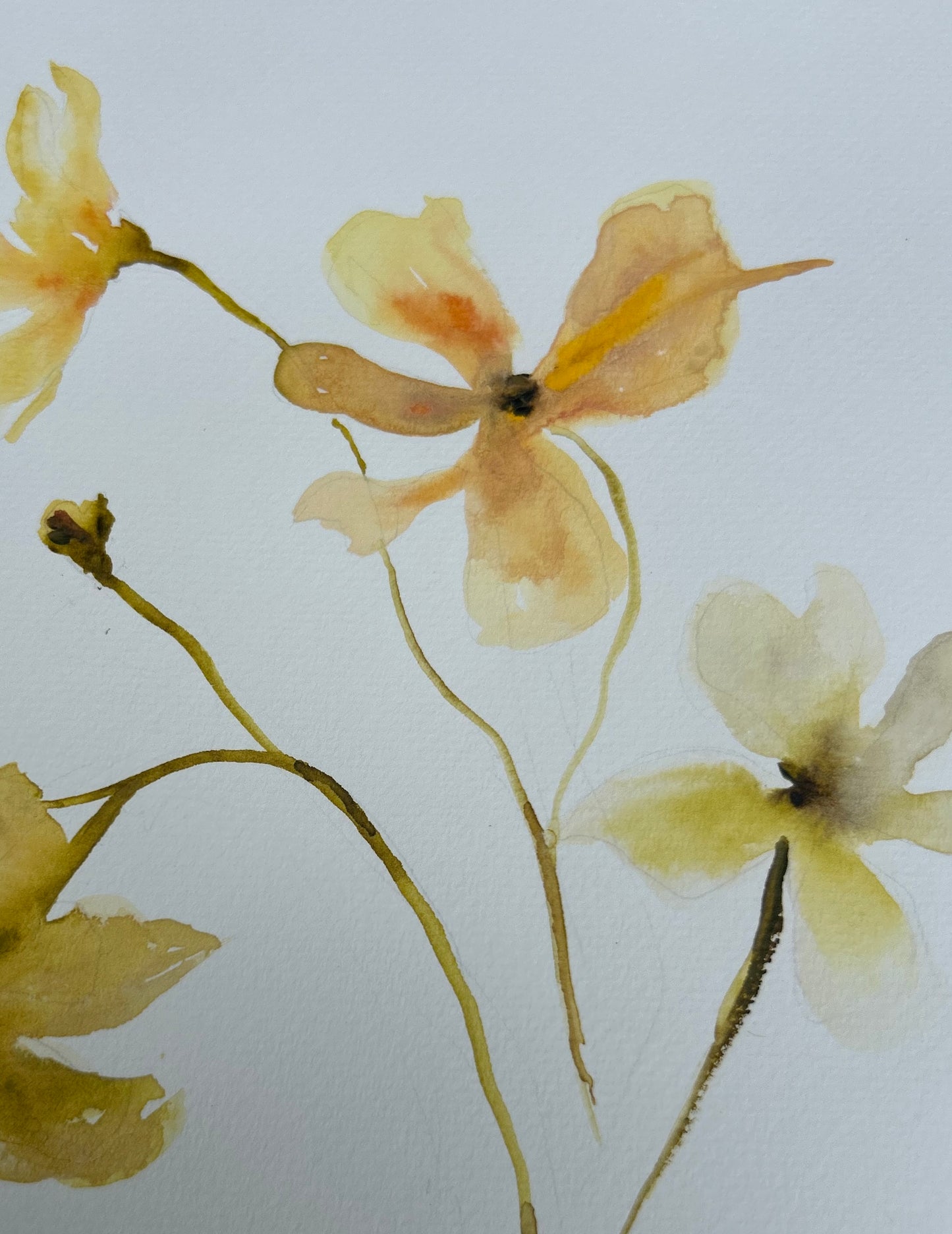 Floral Study I