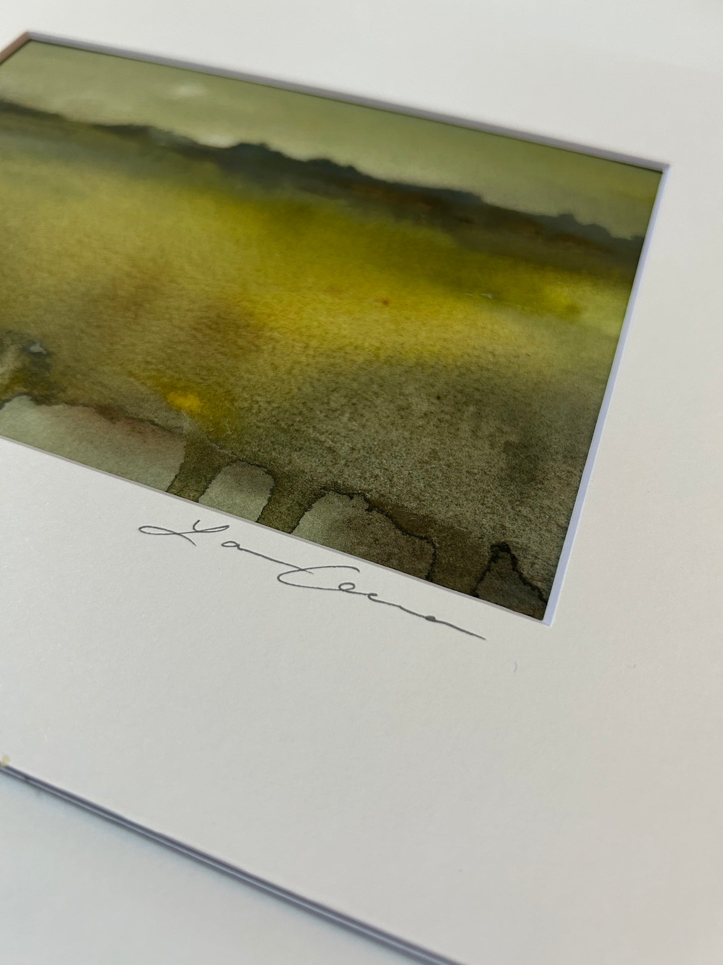 Florida Greenscape — Matted to 8"x10"