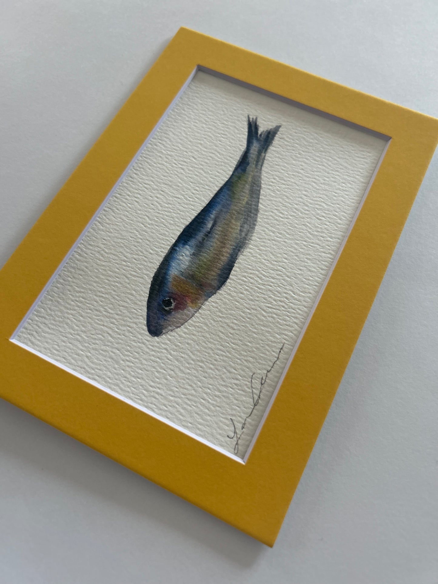 Sardine II — 5"x7" Matted