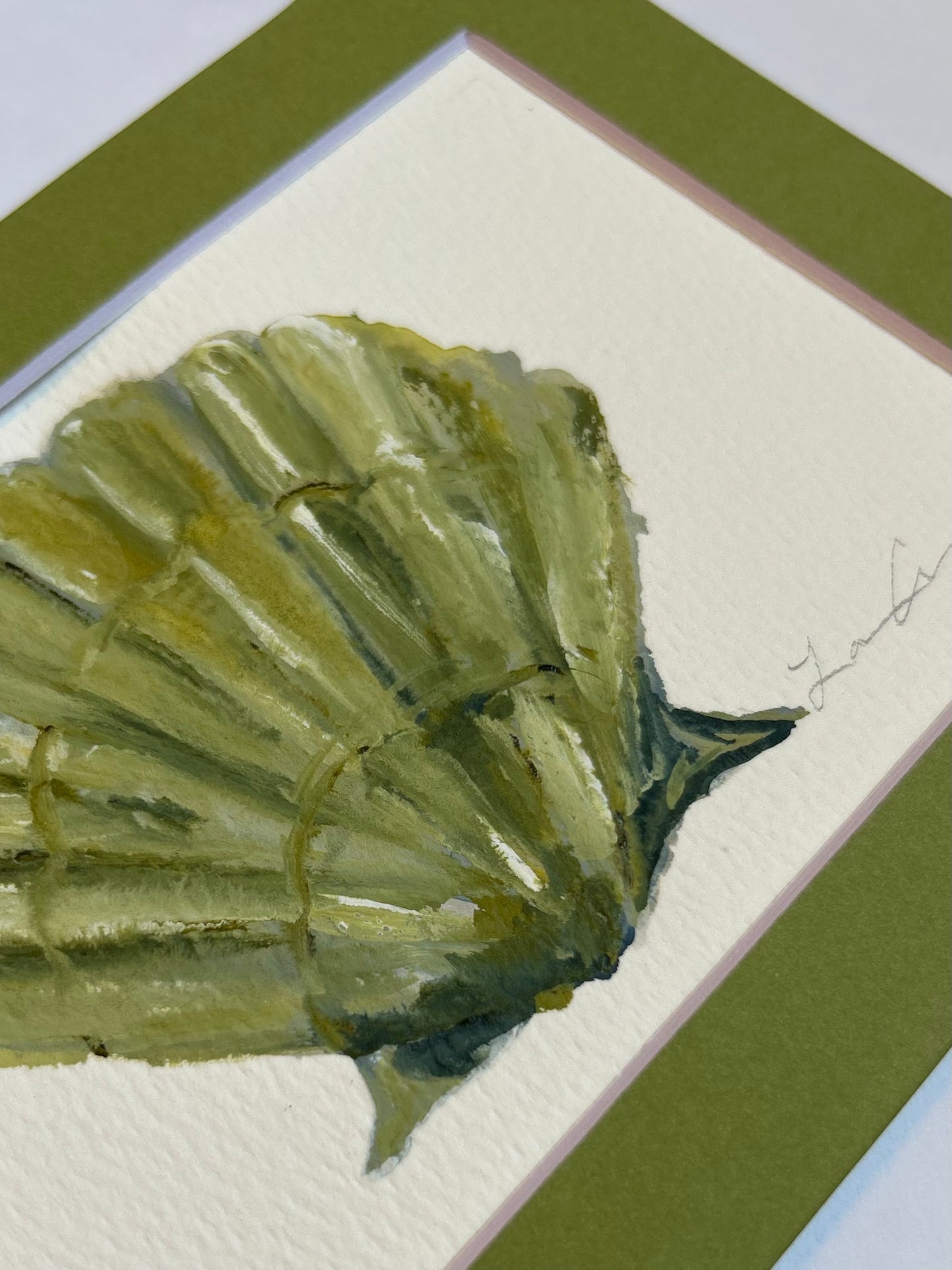 Green Shell — Matted to 5"x7"