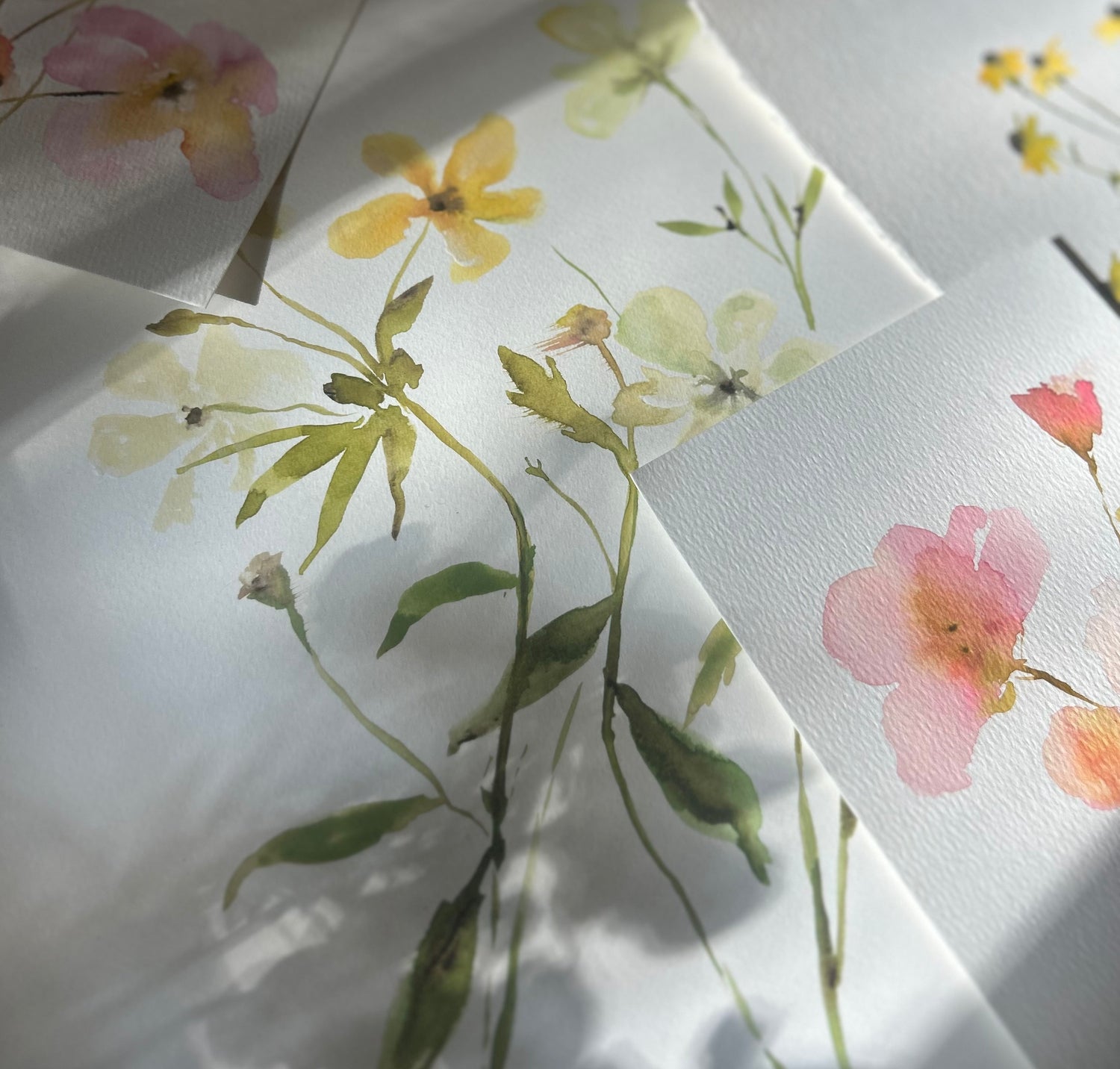 Floral Studies
