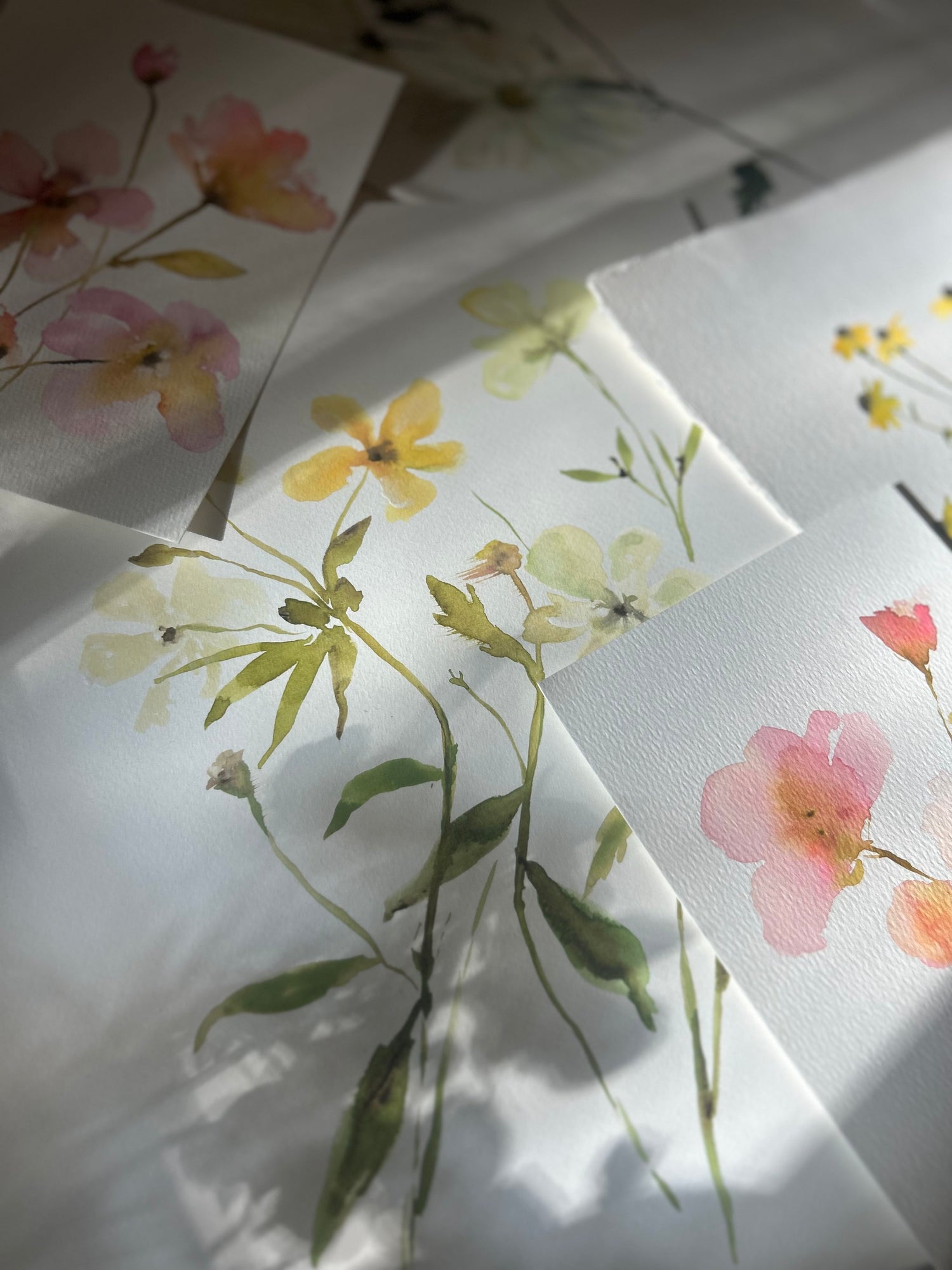 Floral Studies
