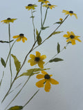 Floral Study XVI