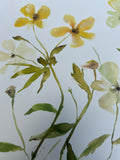 Floral Study XVII