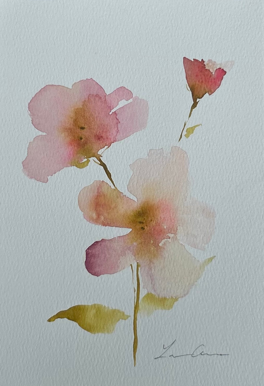 Floral Study II