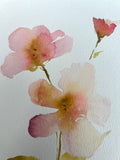 Floral Study II