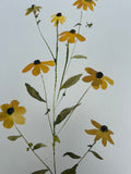 Floral Study V