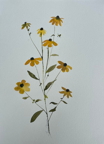 Floral Study V