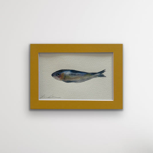 Sardine II — 5"x7" Matted
