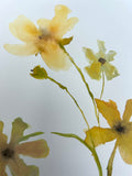Floral Study VI
