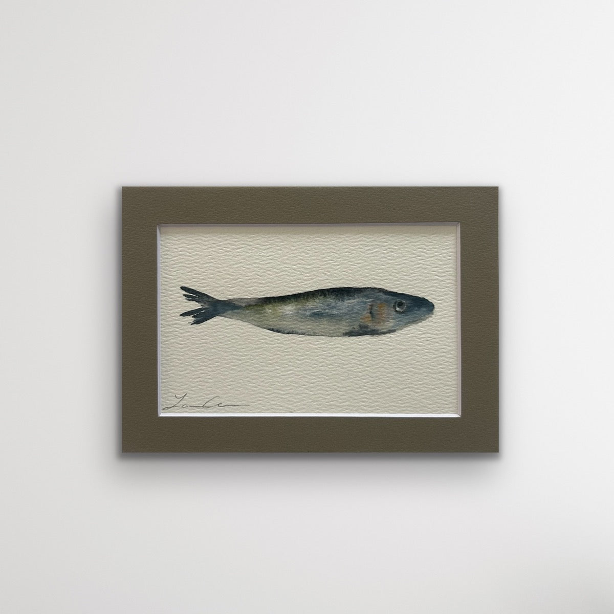 Sardine I  — 5"x7" Matted