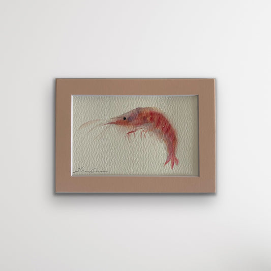 Pink Shrimp  — 5"x7" Matted