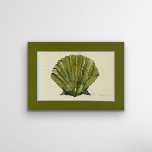 Green Shell — Matted to 5"x7"