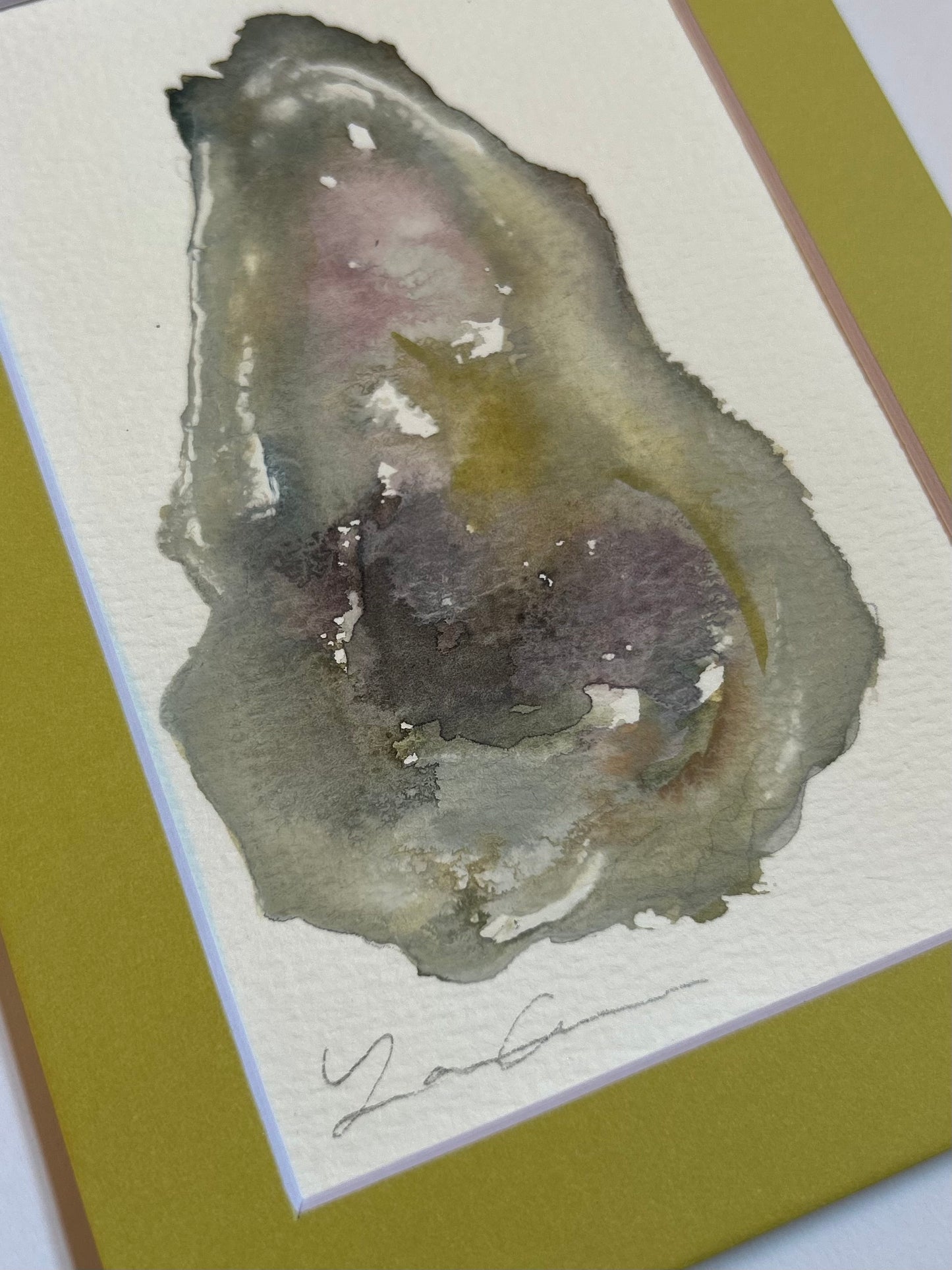 Oyster VI — Matted to 5"x7"
