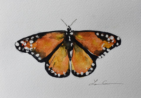 *Monarch Butterfly - 5" x 7"